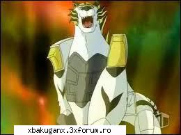 tigrerra e bakuganul lui runo,cele 2 sunt si o echipa,dar si cele mai bune cele 2 exista o conexiune